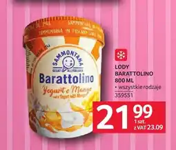 Selgros Lody Barattolino Sammontana oferta