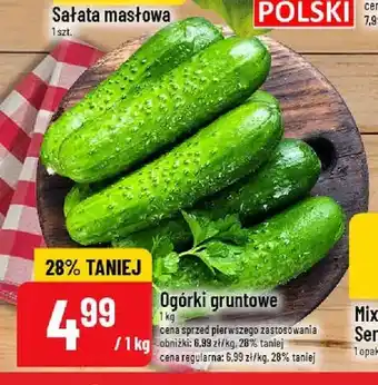 Polomarket Ogórki gruntowe oferta