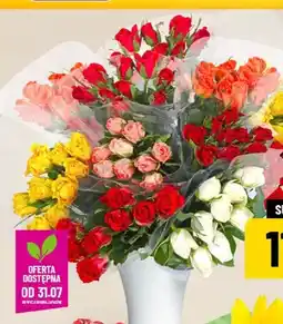 Polomarket Róże oferta