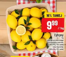Polomarket Cytryny oferta