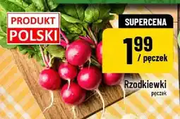 Polomarket Rzodkiewka pęczek polska oferta