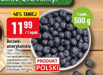 Polomarket Borówki amerykańskie oferta