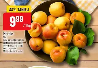 Polomarket Morele oferta