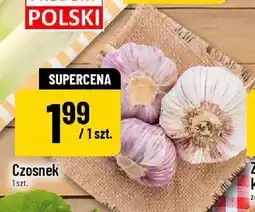 Polomarket Czosnek oferta