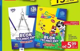Selgros Blok techniczny Astra A3 10 kartek oferta