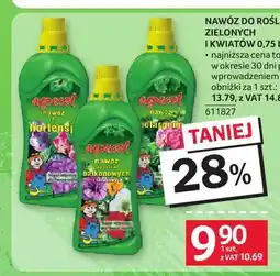 Selgros Nawóz do hortensji Agrecol oferta