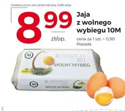 Frac Jaja Piwoda oferta