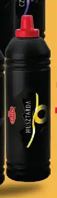 Selgros Musztarda Roleski oferta