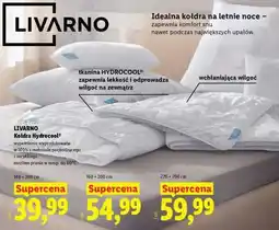 Lidl LIVARNO Kołdra Hydrocool oferta
