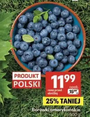 Delikatesy Centrum Borówki amerykańskie oferta