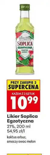 Biedronka LIKIER SOPLICA EGZOTYCZNA oferta
