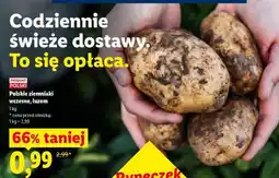 Lidl Polskie ziemniaki wczesne, luzem oferta