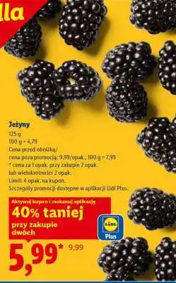 Lidl Jeżyny oferta
