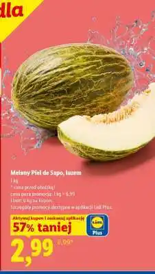 Lidl Melony Piel de Sapo, luzem oferta