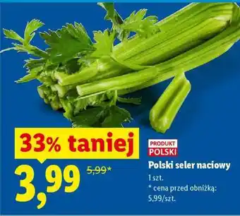 Lidl Polski seler naciowy oferta