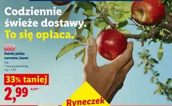Lidl Polskie jabłka czerwone, luzem oferta