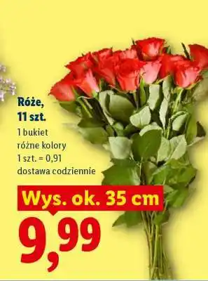 Lidl Róże, 11 szt oferta