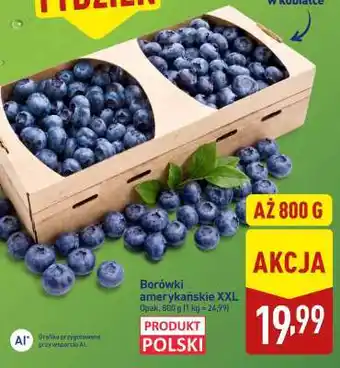 ALDI Borówki amerykańskie XXL oferta