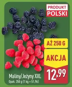 ALDI Maliny/Jeżyny XXL oferta