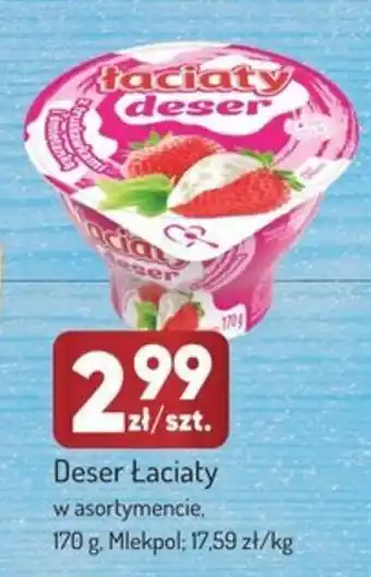 Avita Deser Łaciaty oferta