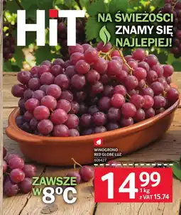 Selgros Winogrono Red Globe Luz oferta
