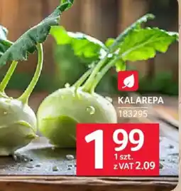 Selgros Kalarepa oferta