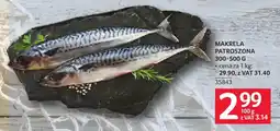Selgros Makrela Patroszona oferta