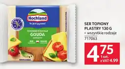 Selgros Ser Topiony Plastry Gouda oferta