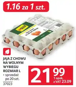 Selgros Jaja z chowu na wolnym wybiegu oferta
