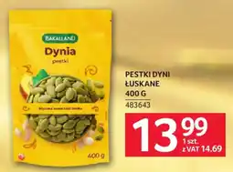 Selgros Dynia pestki oferta