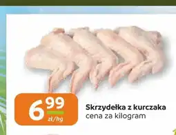 Społem Częstochowa Skrzydełka z kurczaka oferta