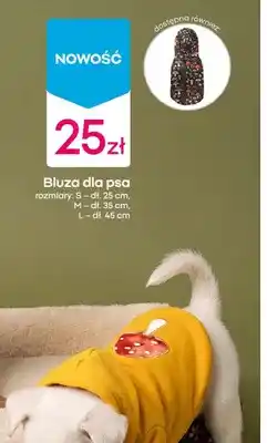 Pepco Bluza dla psa oferta