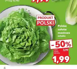 Kaufland Polska sałata masłowa oferta