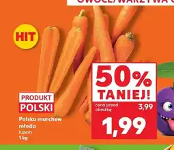 Kaufland Marchew młoda polska oferta
