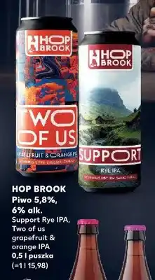 Kaufland Piwo Hop Brook Two Of Us Grapefruit & Orange IPA oferta