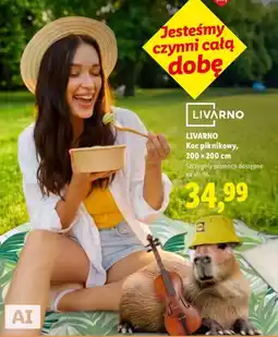 Lidl LIVARNO Koc piknikowy oferta