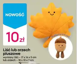 Pepco Liść lub orzech pluszowe oferta