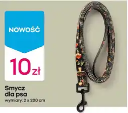 Pepco Smycz dla psa oferta