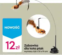 Pepco Zabawka dla kota ptak oferta