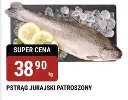 bi1 Pstrąg Jurański Patroszony oferta