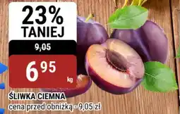 bi1 Śliwka ciemna oferta