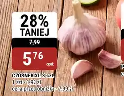 bi1 Czosnek xl oferta