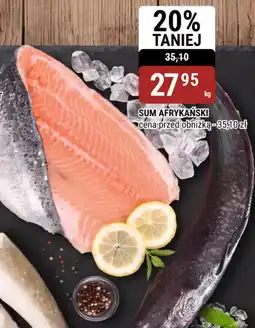 bi1 Sum Afrykański oferta