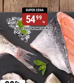 bi1 Łosoś Norweski Płat oferta
