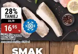 bi1 Morszczuk Tusza oferta