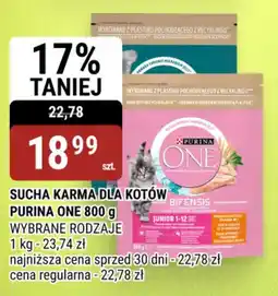 bi1 Sucha karma dla kotów Purina One oferta