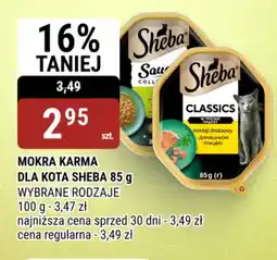 bi1 Mokra karma dla kota Sheba oferta