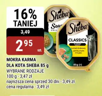 bi1 Mokra karma dla kota Sheba oferta