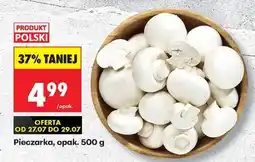 Biedronka Pieczarka opak 500 g oferta