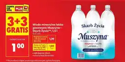 Biedronka Woda mineralna lekko gazowana Muszyna Skarb Życia, 1,5 l oferta
